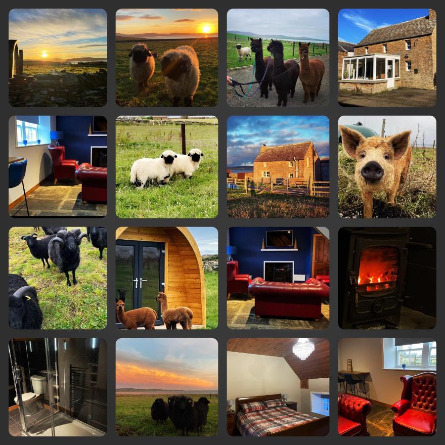 Вилла Orkney Farm Bothy Стромнесс Экстерьер фото